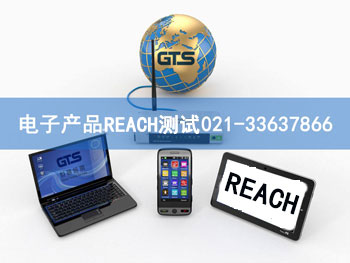 Ӯa(chn)ƷREACHyԇ
