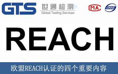 WREACHJCĂҪ(ni)