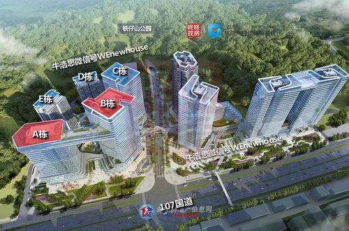 深圳新盤開發(fā)商破產(chǎn)重整警示錄 投資興辦實(shí)業(yè)的風(fēng)險(xiǎn)與應(yīng)對